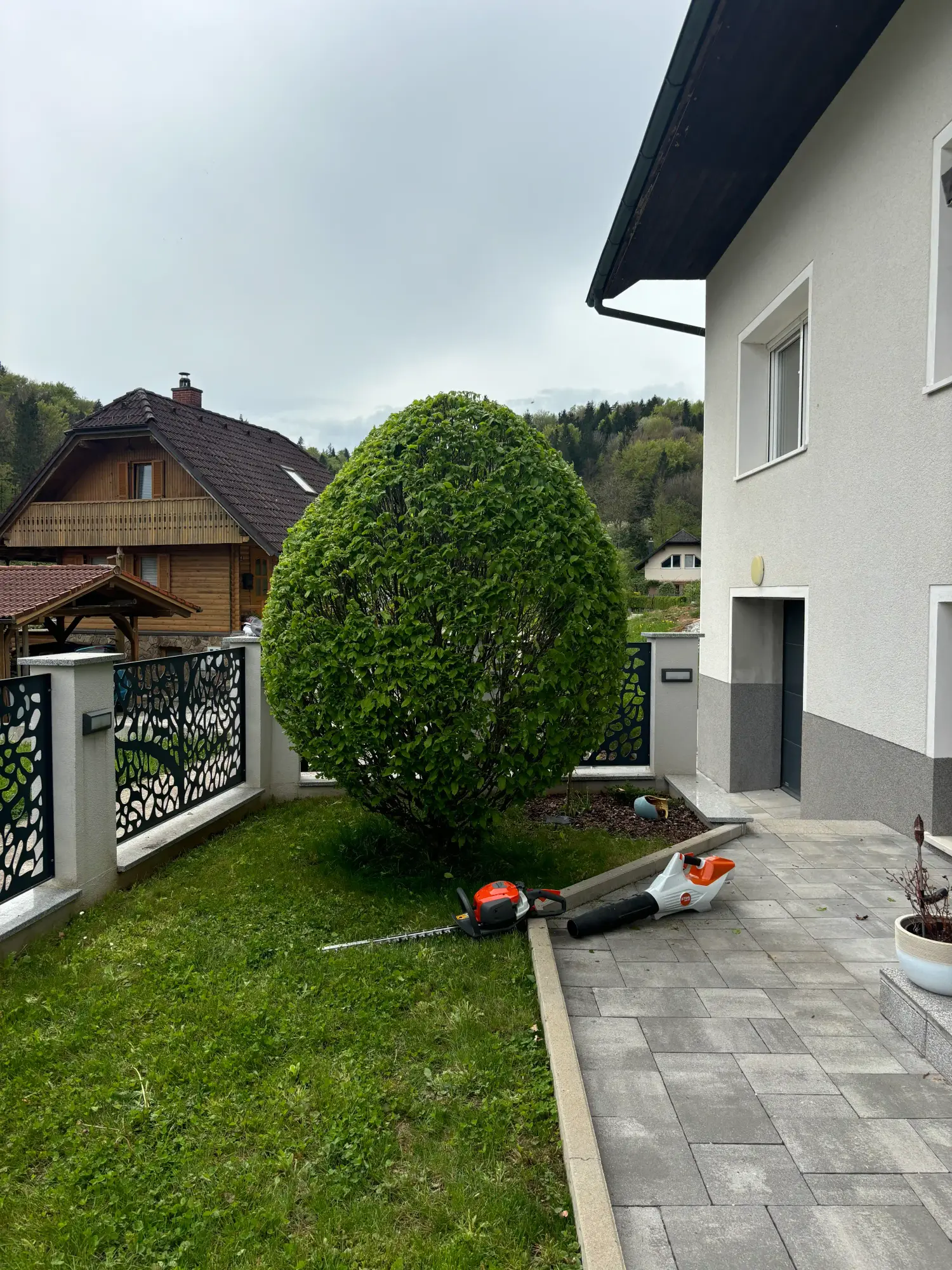 Obrez grmovja