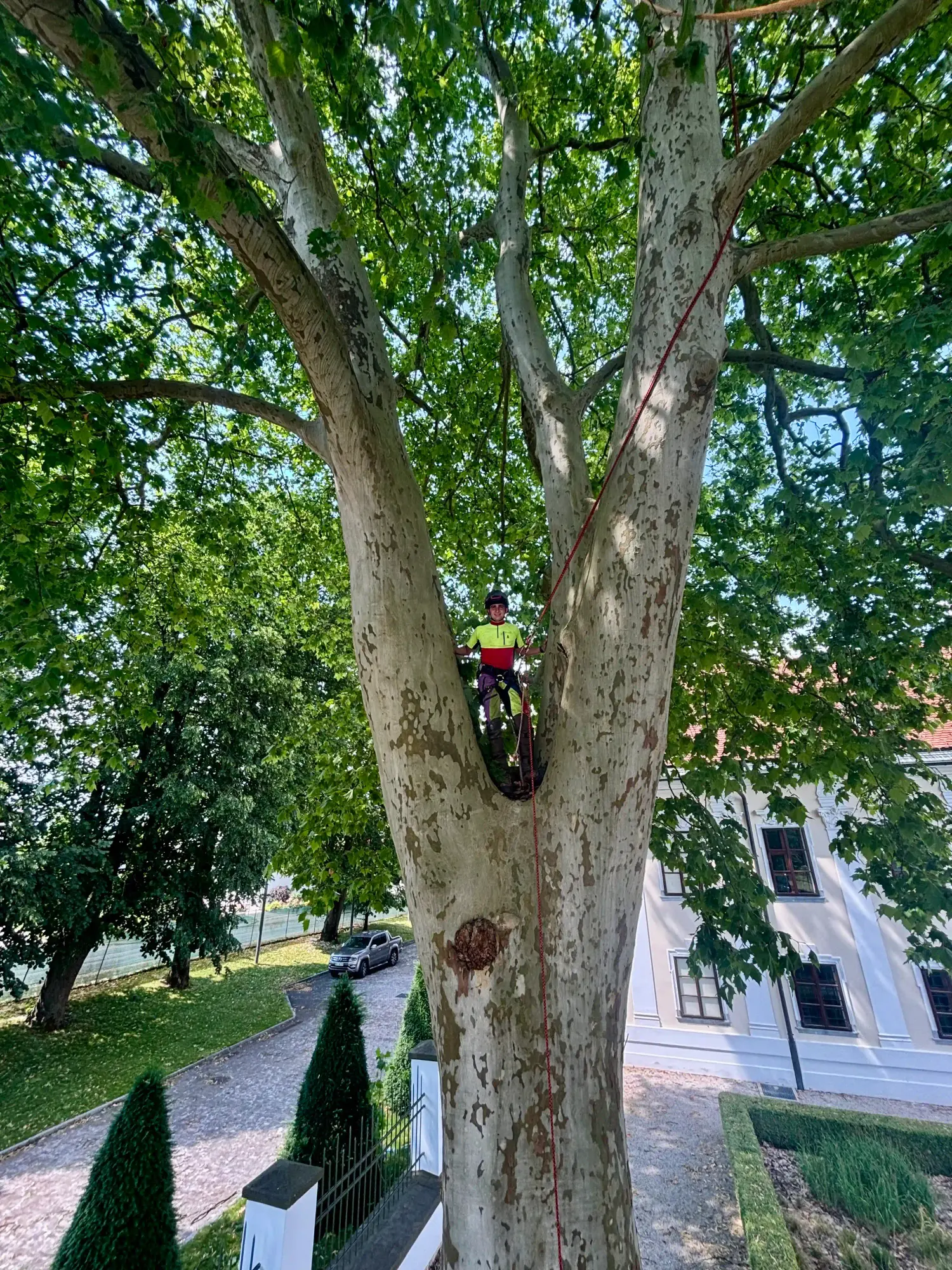 Arboristična oprema