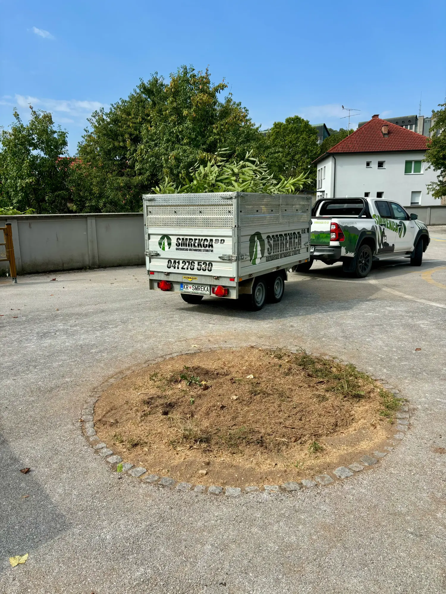 Prostor po frezanju štora, prekrit z lesnimi sekanci