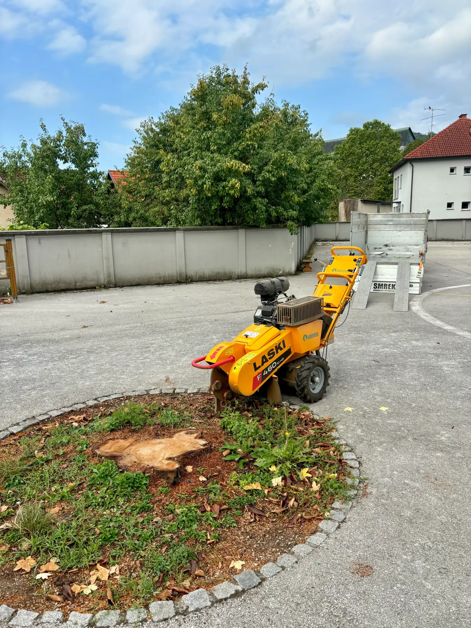 Ostanek drevesnega štora v zelenici