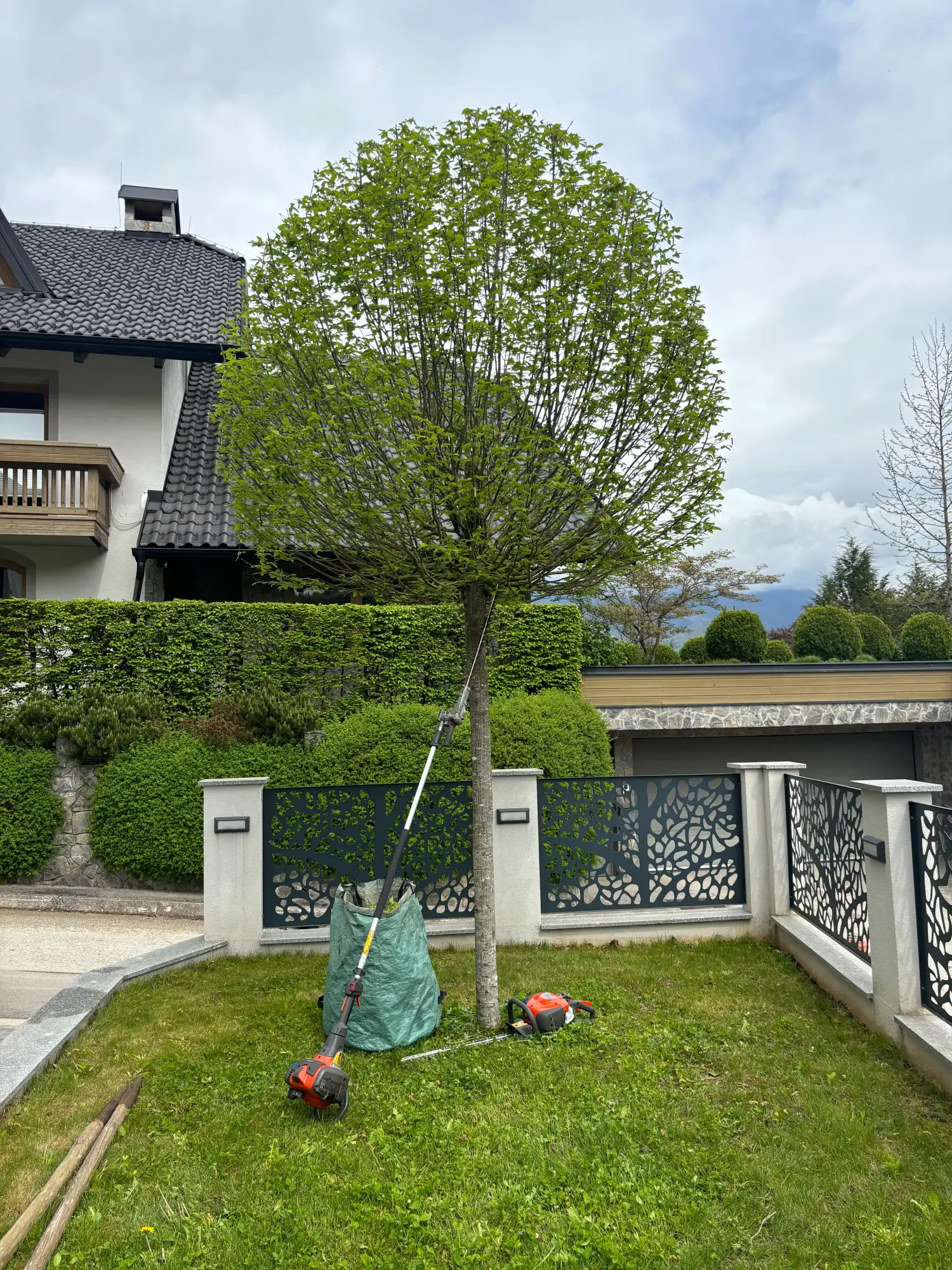 Arborist pri obrezovanju drevesa