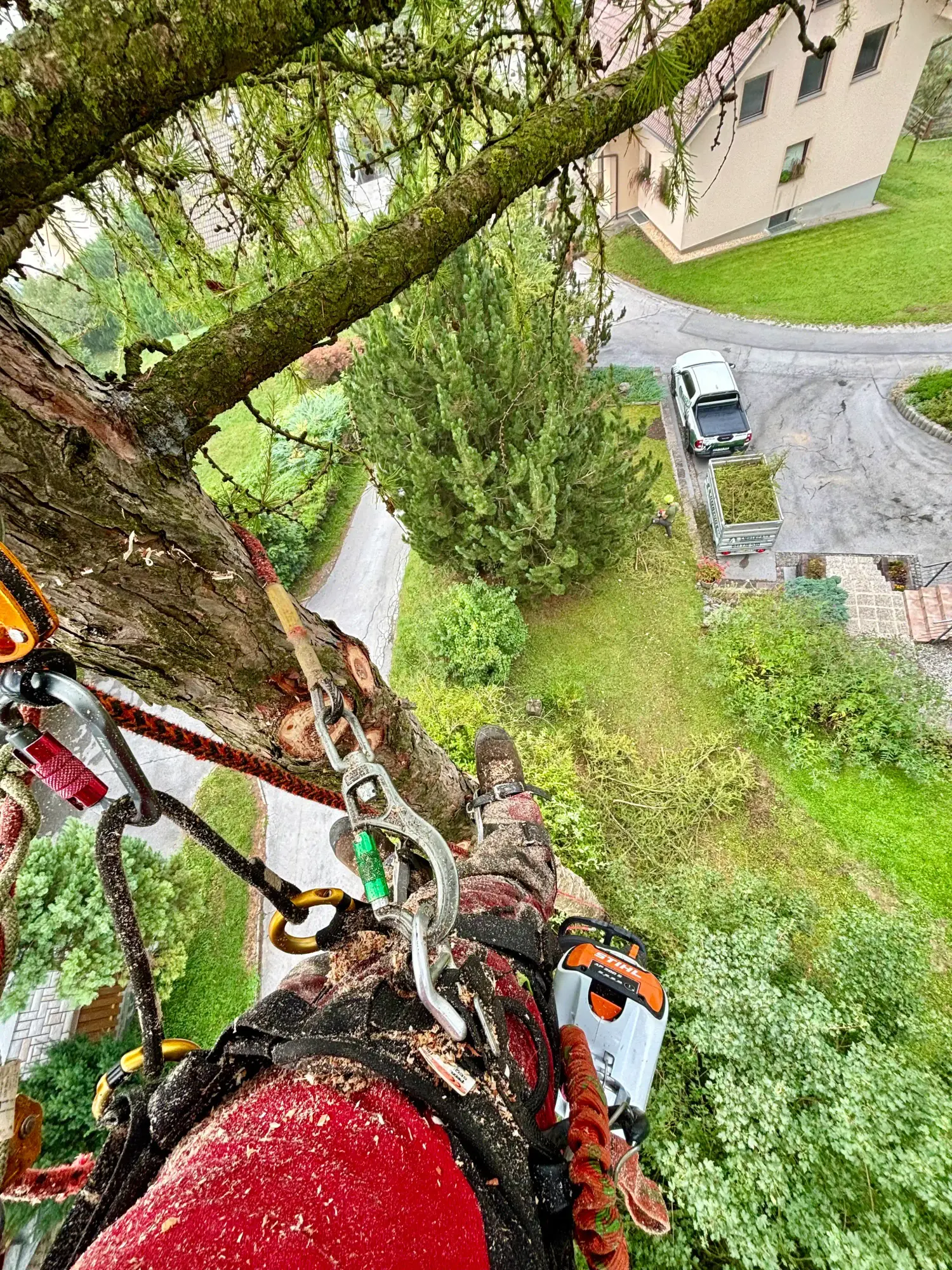 Obrezovanje dreves na višini