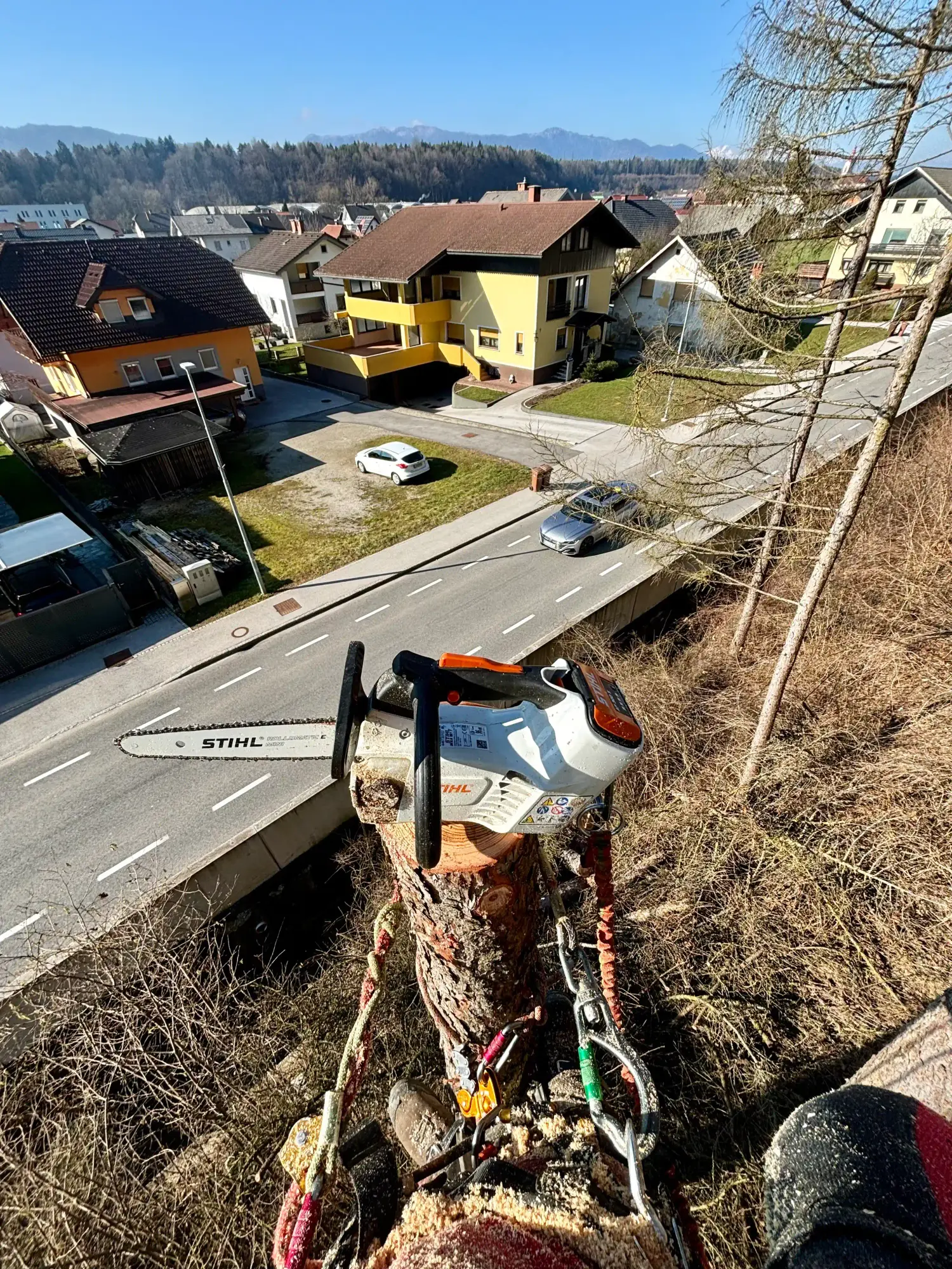 Podiranje visokih dreves